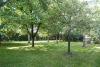image from images/_tuin.jpg